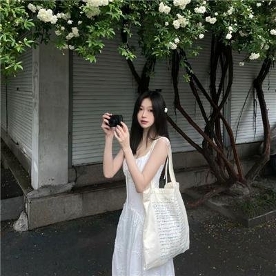 盗贼生涯